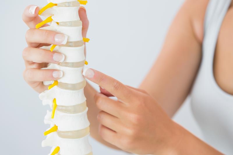 about our chiropractic office Saddle River, NJ